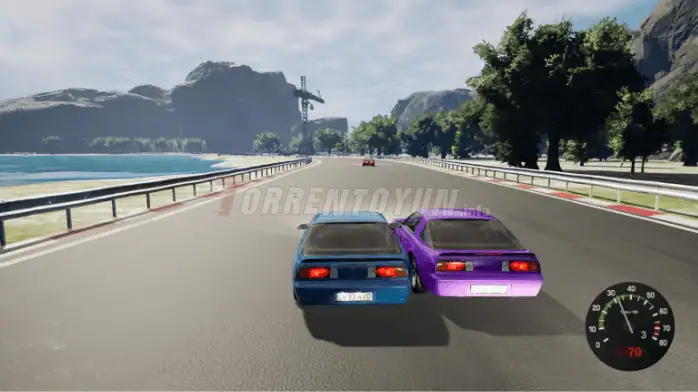 307 Racing Torrent Indire