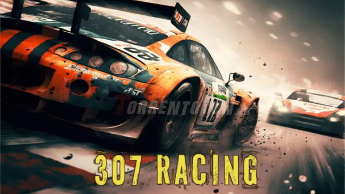 307 Racing Torrent Oyun Indire