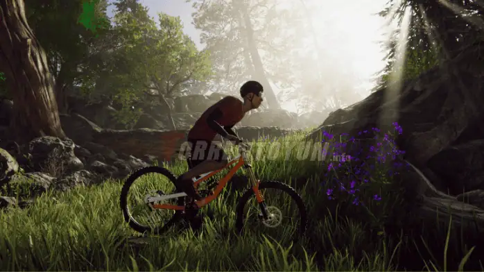 Bicycle Rider Simulator Torrent